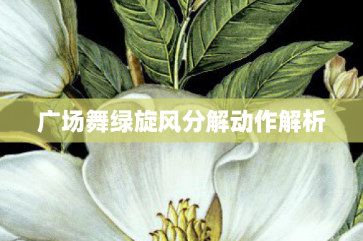 广场舞绿旋风分解动作解析图片