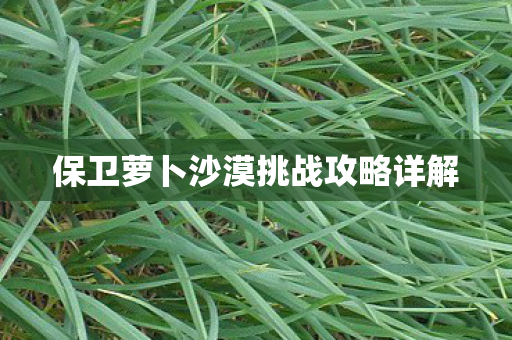 保卫萝卜沙漠挑战攻略详解图片