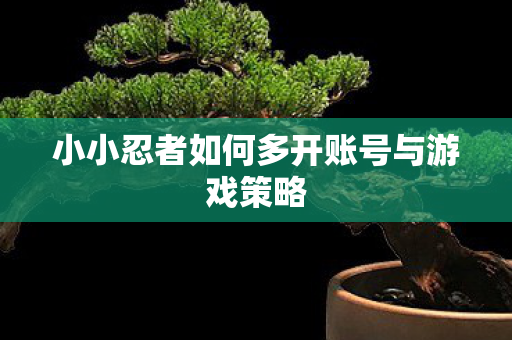 小小忍者如何多开账号与游戏策略图片