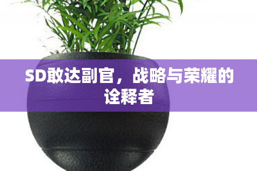 战略与荣耀的诠释者图片