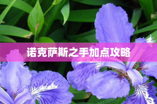 诺克萨斯之手加点攻略图片