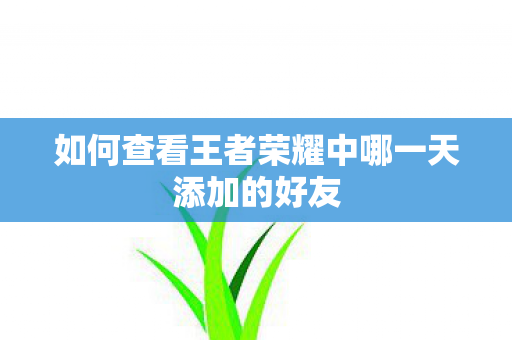 如何查看王者荣耀中哪一天添加的好友图片