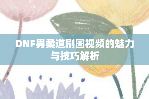 DNF男柔道刷图视频的魅力与技巧解析图片