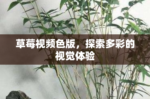 探索多彩的视觉体验图片