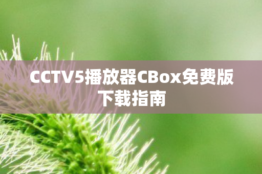 CCTV5播放器CBox免费版下载指南图片
