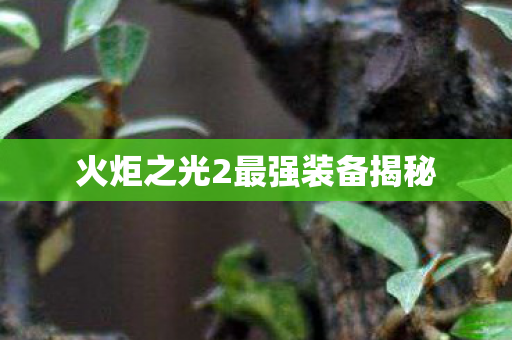火炬之光2最强装备揭秘图片