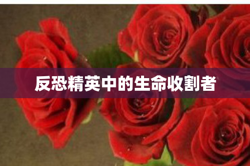 反恐精英中的生命收割者图片