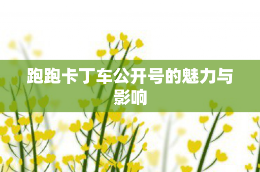 跑跑卡丁车公开号的魅力与影响图片