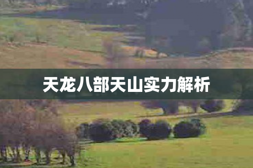 天龙八部天山实力解析图片
