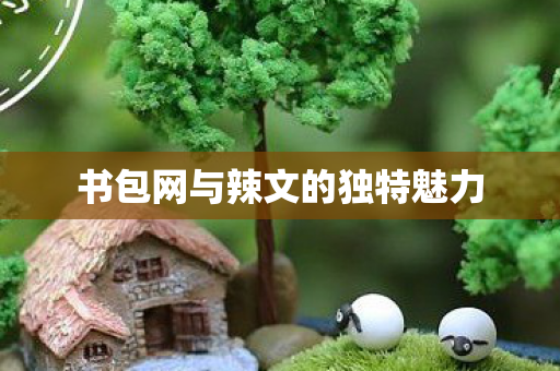 书包网与辣文的独特魅力图片