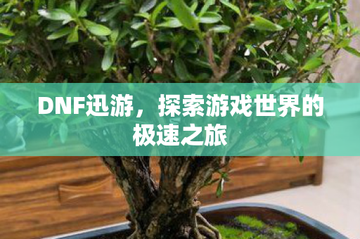 探索游戏世界的极速之旅图片