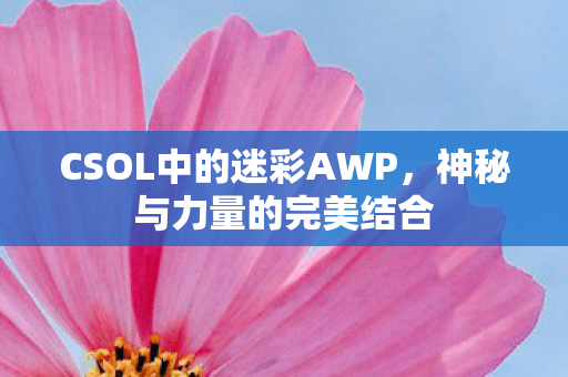 CSOL中的迷彩AWP图片