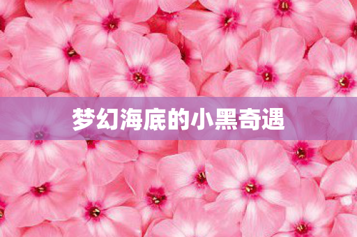 梦幻海底的小黑奇遇图片