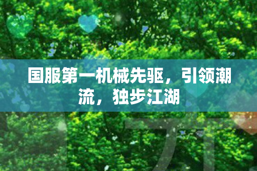 国服第一机械先驱图片