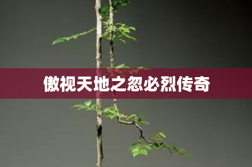 傲视天地之忽必烈传奇图片