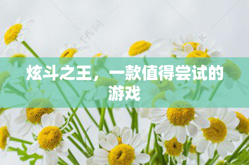 一款值得尝试的游戏图片