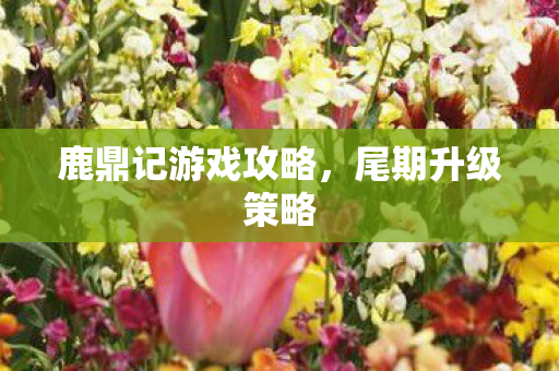 鹿鼎记游戏攻略图片