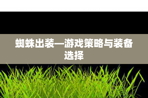 游戏策略与装备选择图片