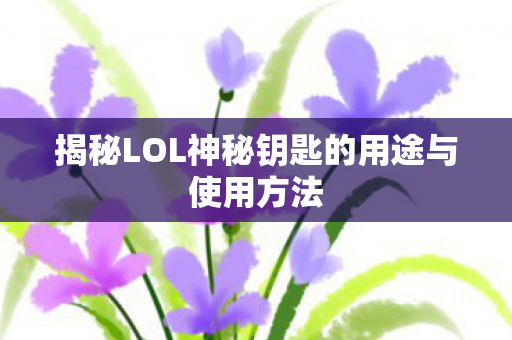 揭秘LOL神秘钥匙的用途与使用方法图片