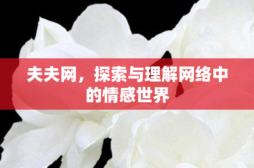 探索与理解网络中的情感世界图片
