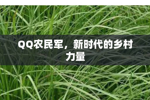 新时代的乡村力量图片
