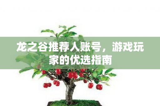 游戏玩家的优选指南图片