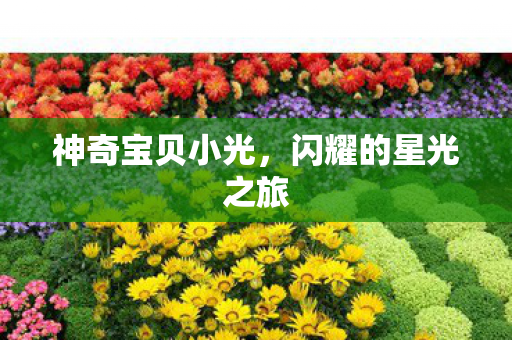 闪耀的星光之旅图片