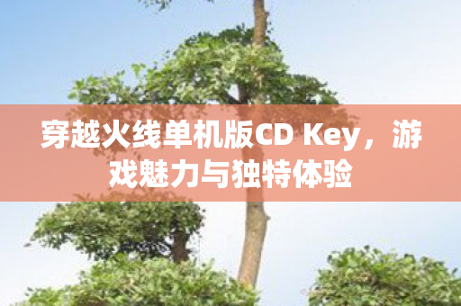 穿越火线单机版CD Key图片