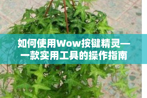 如何使用Wow按键精灵图片