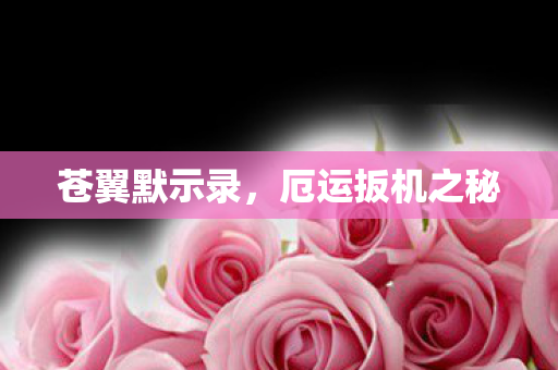 厄运扳机之秘图片