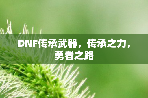 DNF传承武器图片