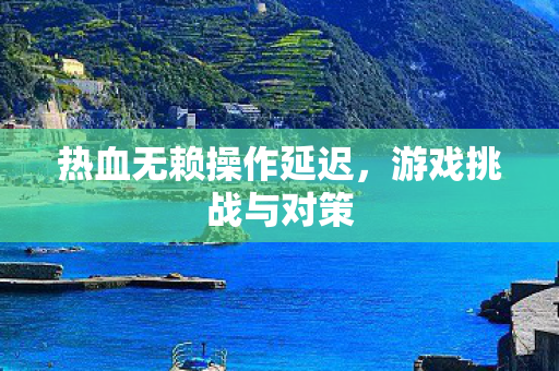 热血无赖操作延迟图片