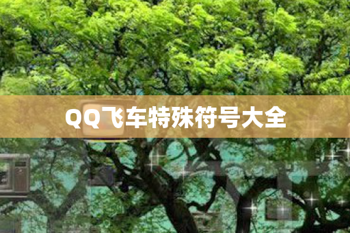 QQ飞车特殊符号大全图片