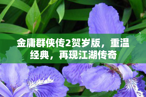 金庸群侠传2贺岁版图片