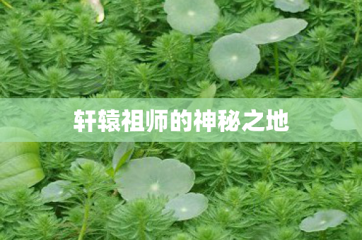 轩辕祖师的神秘之地图片