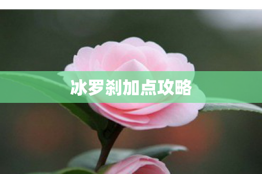 冰罗刹加点攻略图片