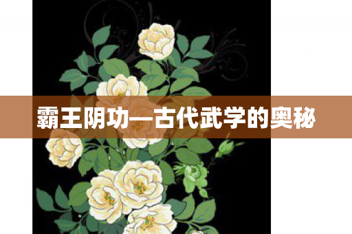 古代武学的奥秘图片
