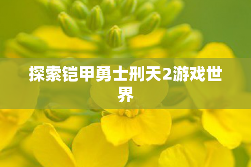 探索铠甲勇士刑天2游戏世界图片