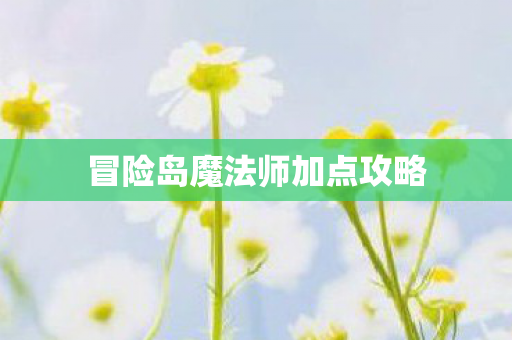 冒险岛魔法师加点攻略图片