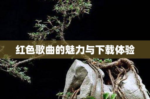 红色歌曲的魅力与下载体验图片