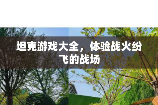 体验战火纷飞的战场图片