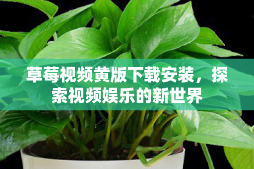 草莓视频黄版下载安装图片
