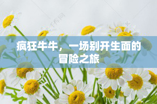 一场别开生面的冒险之旅图片