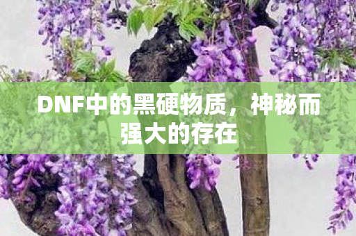 DNF中的黑硬物质图片