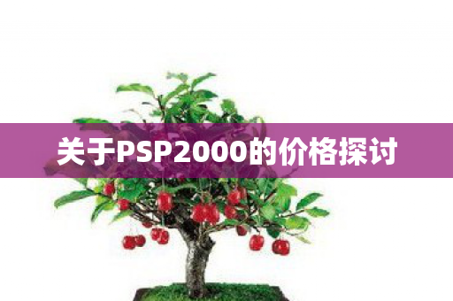 关于PSP2000的价格探讨图片