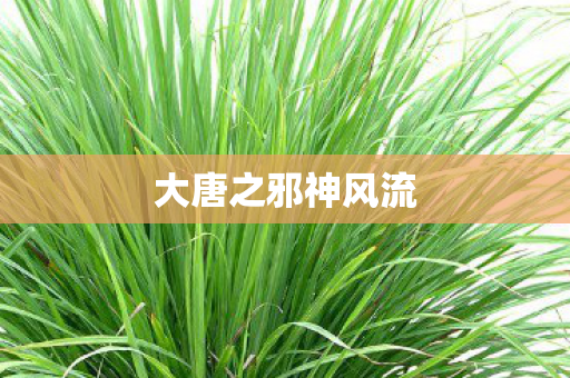 大唐之邪神风流图片