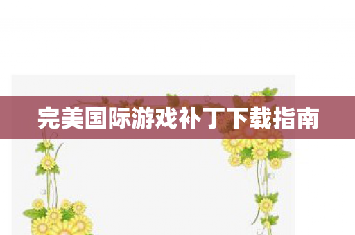 完美国际游戏补丁下载指南图片