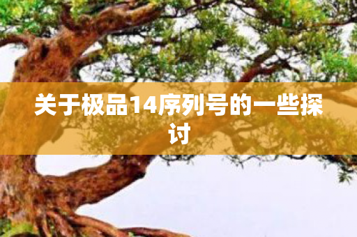 关于极品14序列号的一些探讨图片