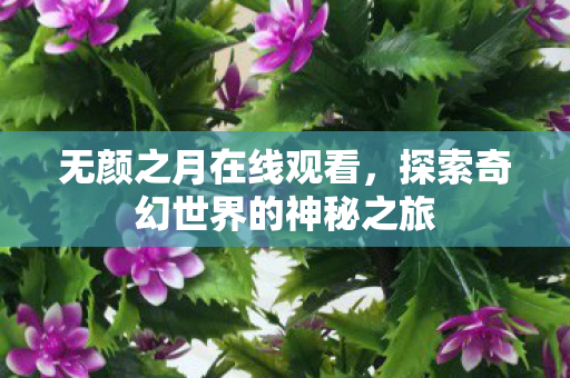 探索奇幻世界的神秘之旅图片