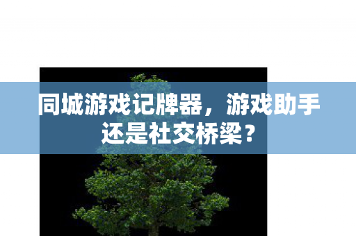 游戏助手还是社交桥梁图片